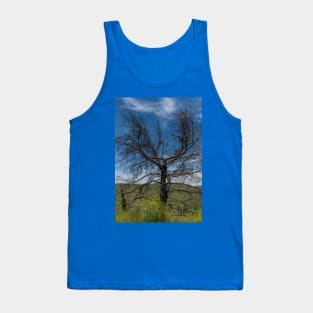 Tree burned by Malibu wildfires Tank Top